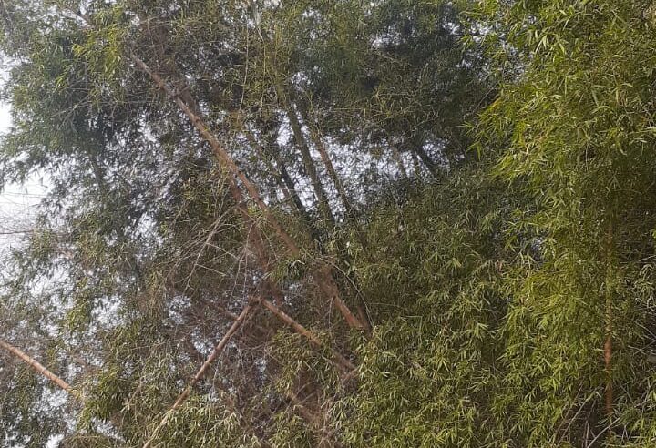 धर्मपुरा में मिताली से परेशान वार्डवासियों ने एफआईआर करने पहुंचे थाने….