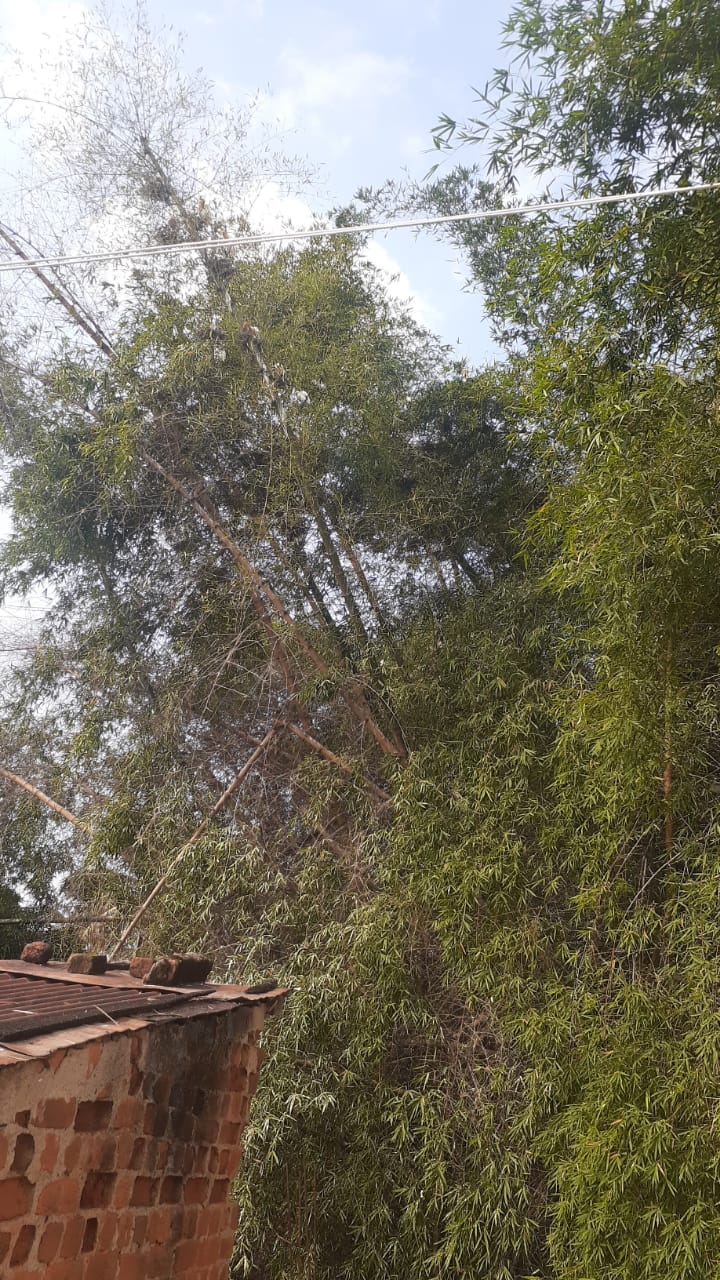 धर्मपुरा में मिताली से परेशान वार्डवासियों ने एफआईआर करने पहुंचे थाने….