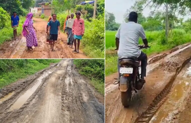 बड़े नावापारा संकुल के अमलीपाली में स्कूल भवन जर्जर, बरामदे में लग रही 5 कक्षाओं की क्लास, जर्जर सड़क भी बना जानलेवा..