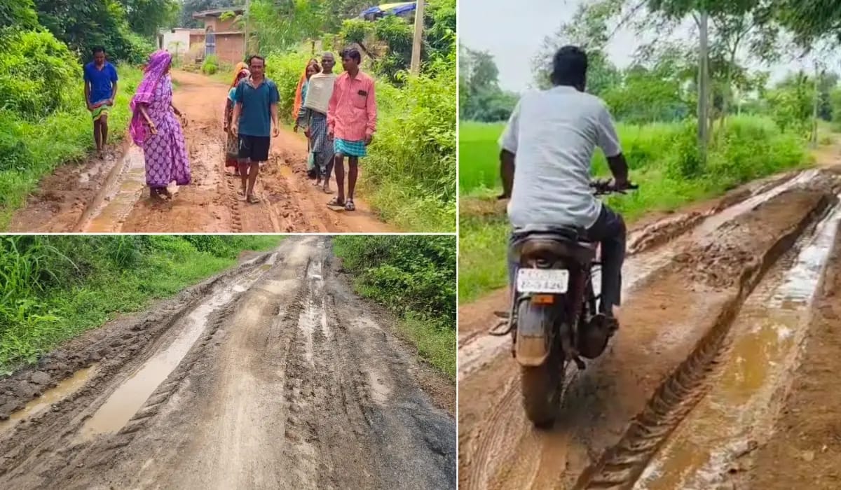 बड़े नावापारा संकुल के अमलीपाली में स्कूल भवन जर्जर, बरामदे में लग रही 5 कक्षाओं की क्लास, जर्जर सड़क भी बना जानलेवा..