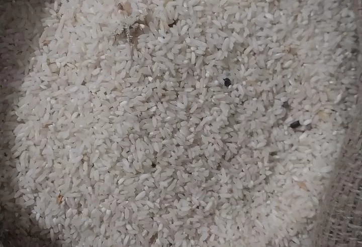 शासकीय उचित मूल्य की राशन दुकानों की लापरवाही एक बार फिर उजागर हुई