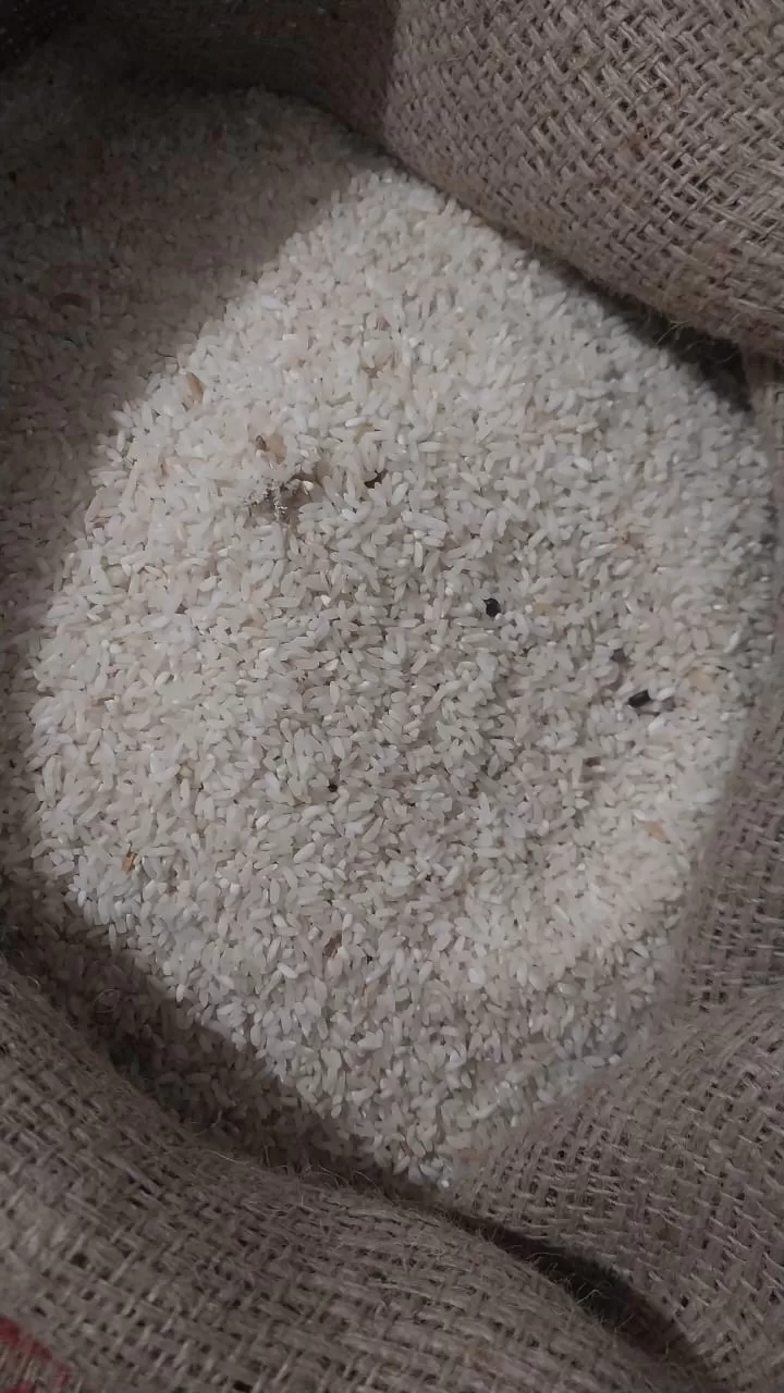 शासकीय उचित मूल्य की राशन दुकानों की लापरवाही एक बार फिर उजागर हुई