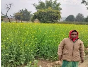 छत्तीसगढ़ का जनकल्याणकारी बजट पेशआधारभूत संरचना के सुदृढ़ीकरण, शिक्षा-स्वास्थ्य, युवाओं के रोजगार और किसानों के सशक्तिकरण पर केंद्रित रहा बजट।