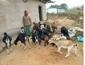 आजीविका मिशन से मिली नई राहमानिन बनीं लखपति दीदी